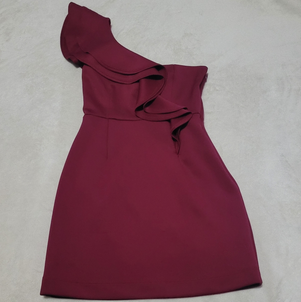 Elegant Burgundy Dress